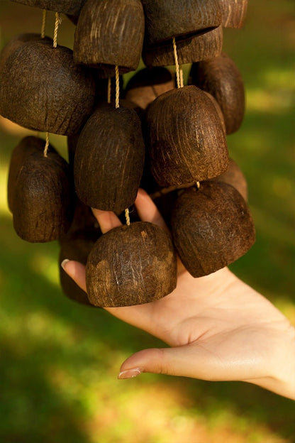 Handmade Salin Water Bellwood Seed Shell